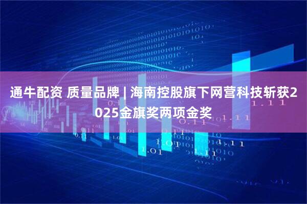 通牛配资 质量品牌 | 海南控股旗下网营科技斩获2025金旗奖两项金奖