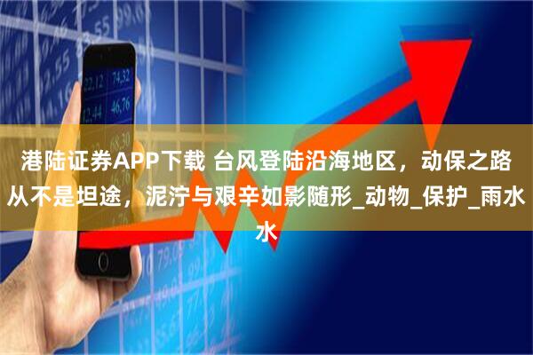 港陆证券APP下载 台风登陆沿海地区，动保之路从不是坦途，泥泞与艰辛如影随形_动物_保护_雨水